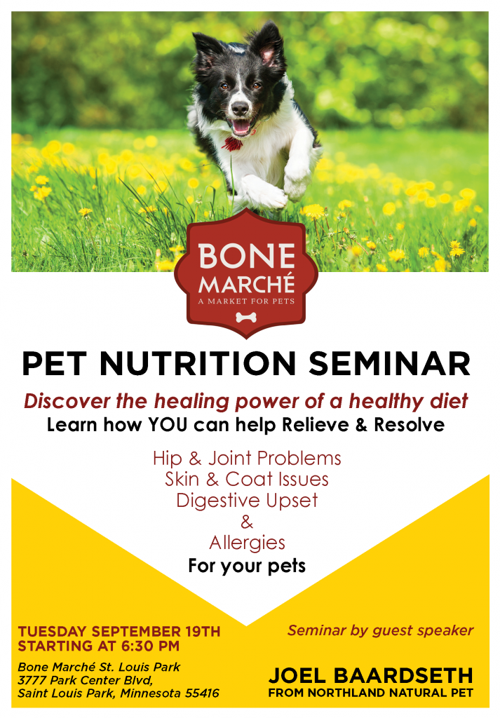 Bone Marche September Seminar Flyer