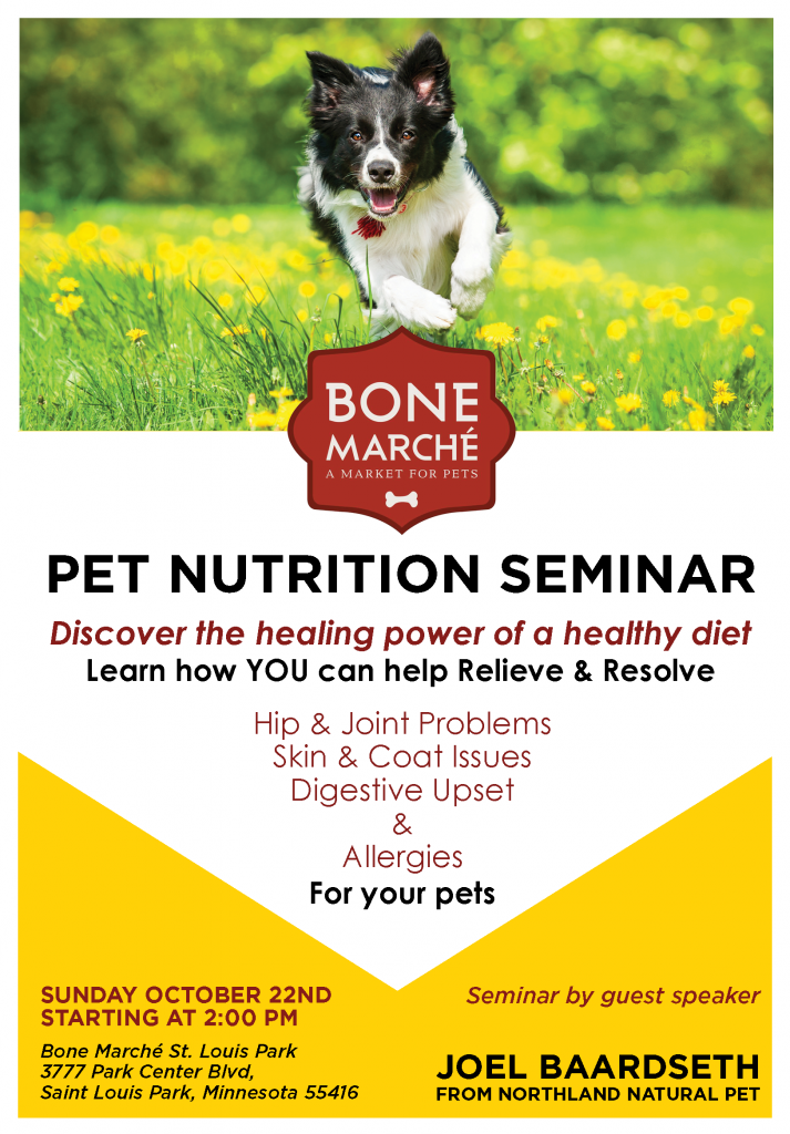Bone Marche October Seminar Flyer