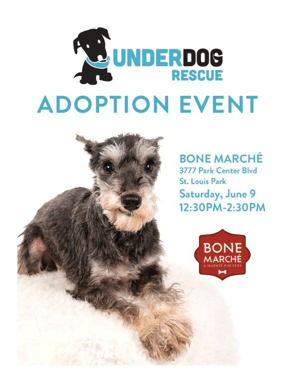 Bone-Marche-Under-Dog-Recue-6-9-18