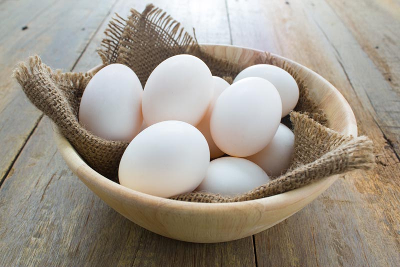 Transition to Cage-Free Eggs