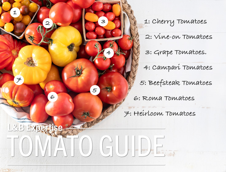 Tomato Guide