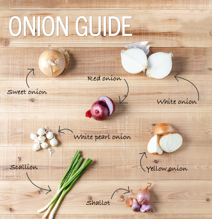 Onion Guide