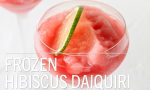 Frozen Hibiscus Daiquiri