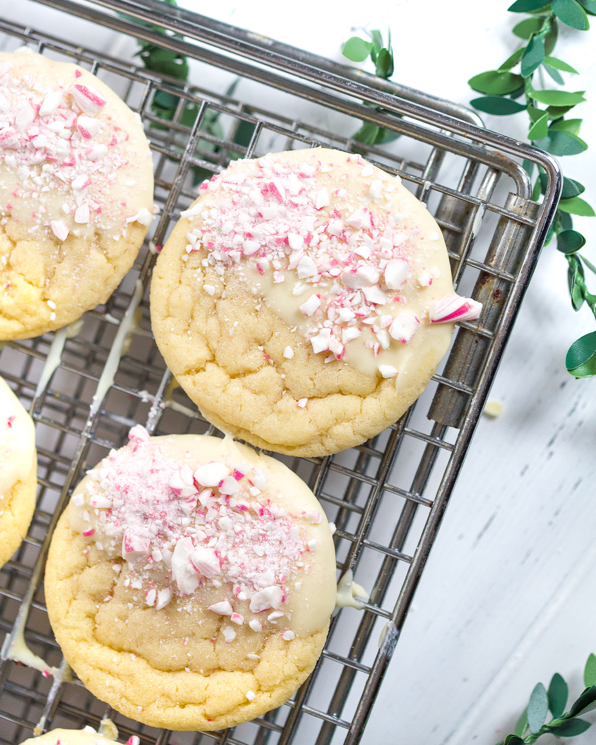 White Chocolate Dipped Peppermint Sugar Cookies